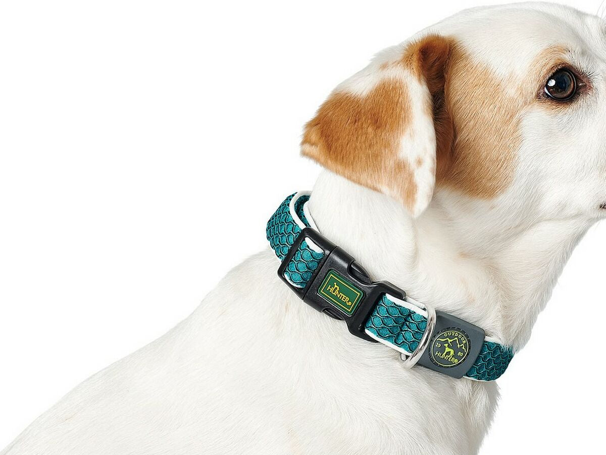 V10H1B64166012567E97ADA9C939F932DF4DR1650591P2