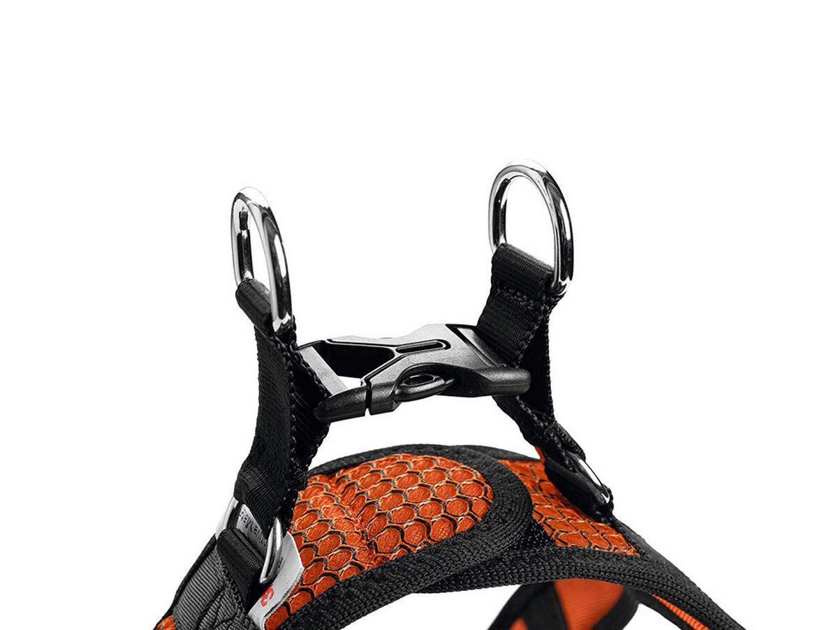 V10H1ADDFD068945ABC15B702124194E2EBBR3944231P5