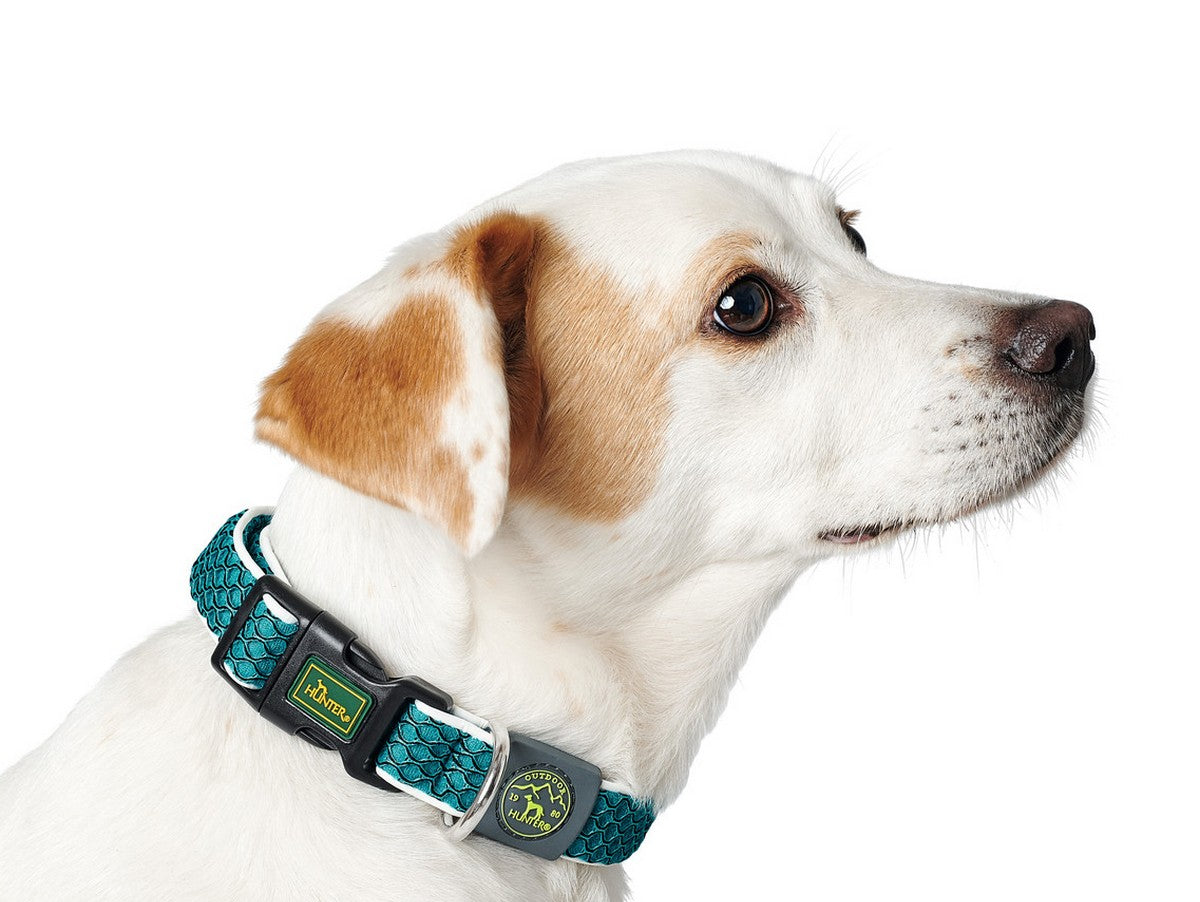 V9HC253B6D98AD92E05747F9853822B4C9BR1561365P1