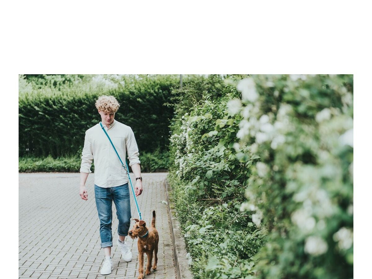 V11H41D136D83A402C579F7AE361E05D5A85R4553320P2