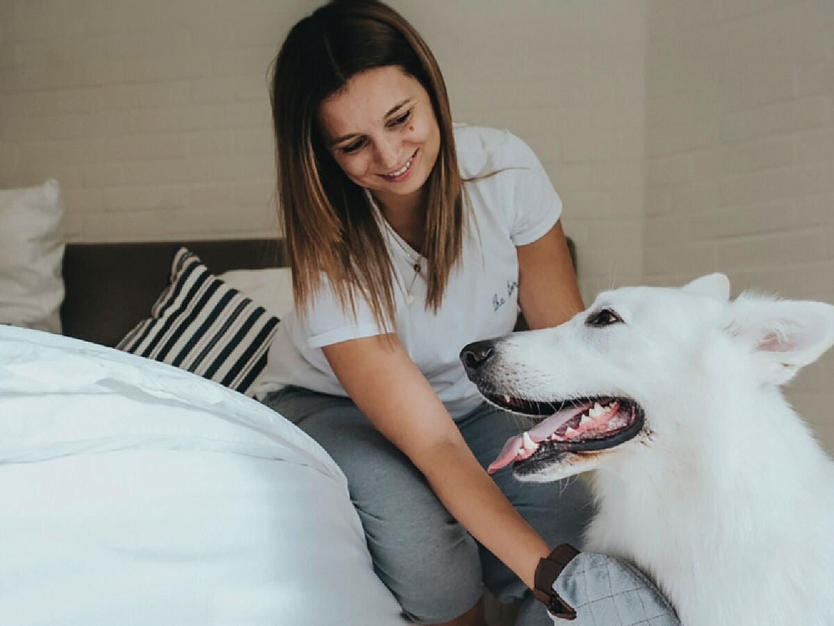 V11HC7C50720F551D52C7DEE2151B230121DR4988324P4