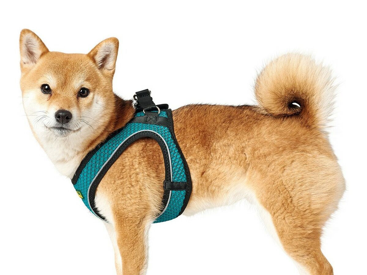 V11HAAD17E29929D3F8CB462C99EDF73F28CR5597921P2