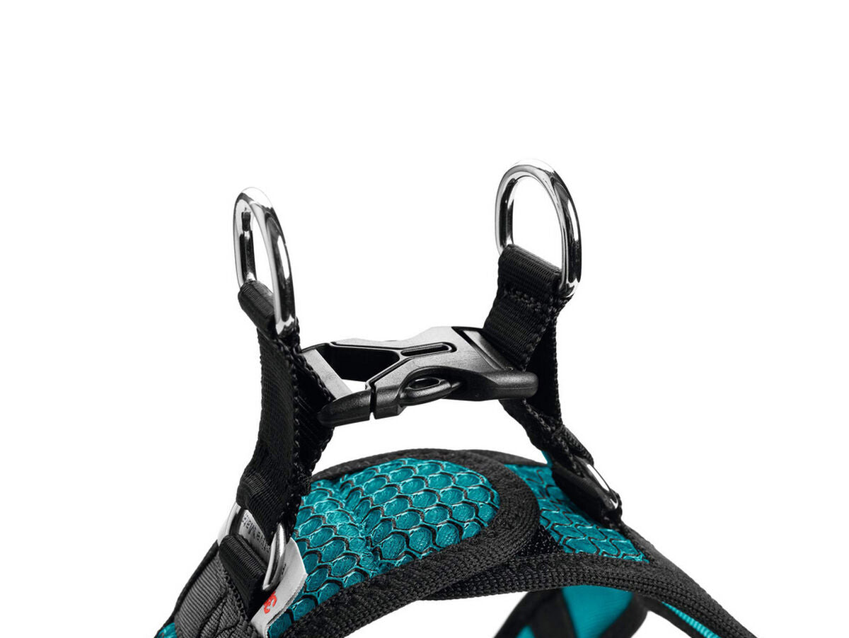 V11HB2102AC869713F20A06CC1B9C827CA23R3618674P2