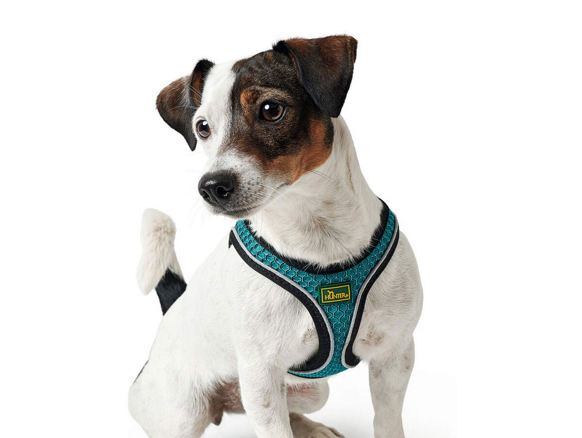 V11H549757B2DE0711F8C4246D238335EFEFR3618675P3