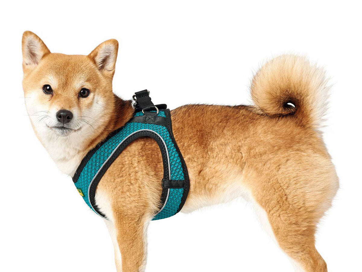 V11H72204739085EE10588B3AEA464531BB2R3618678P4