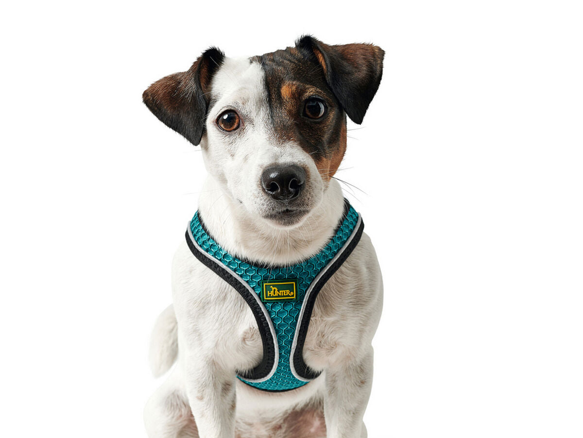 V11HAF7647016DB895BA2843B220006FB72DR3618683P6