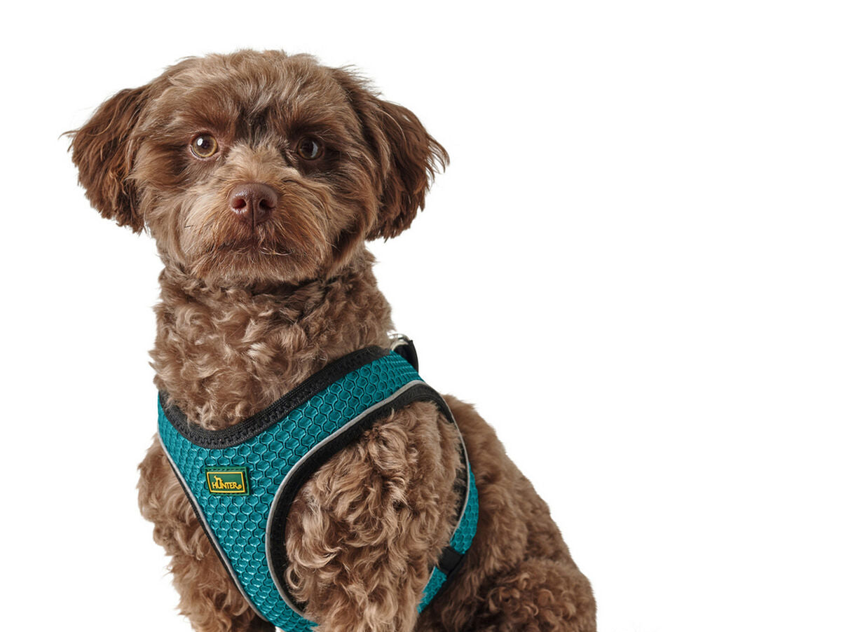 V11HE5E2536EBD5179951D3C2E05D0735806R3618685P7