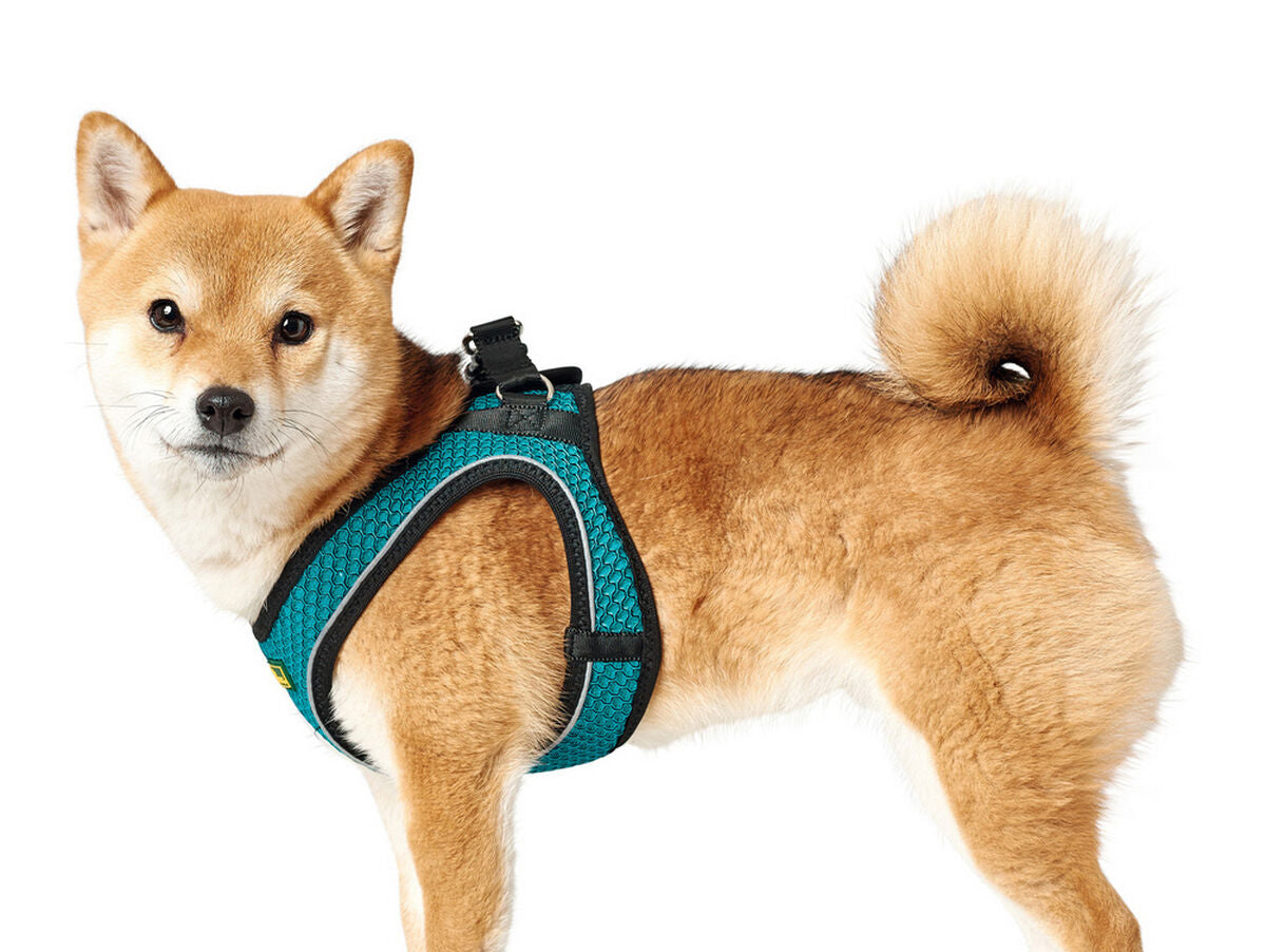 V11H023FD434CFA40C228FDCFE1951B6D954R3618688P9