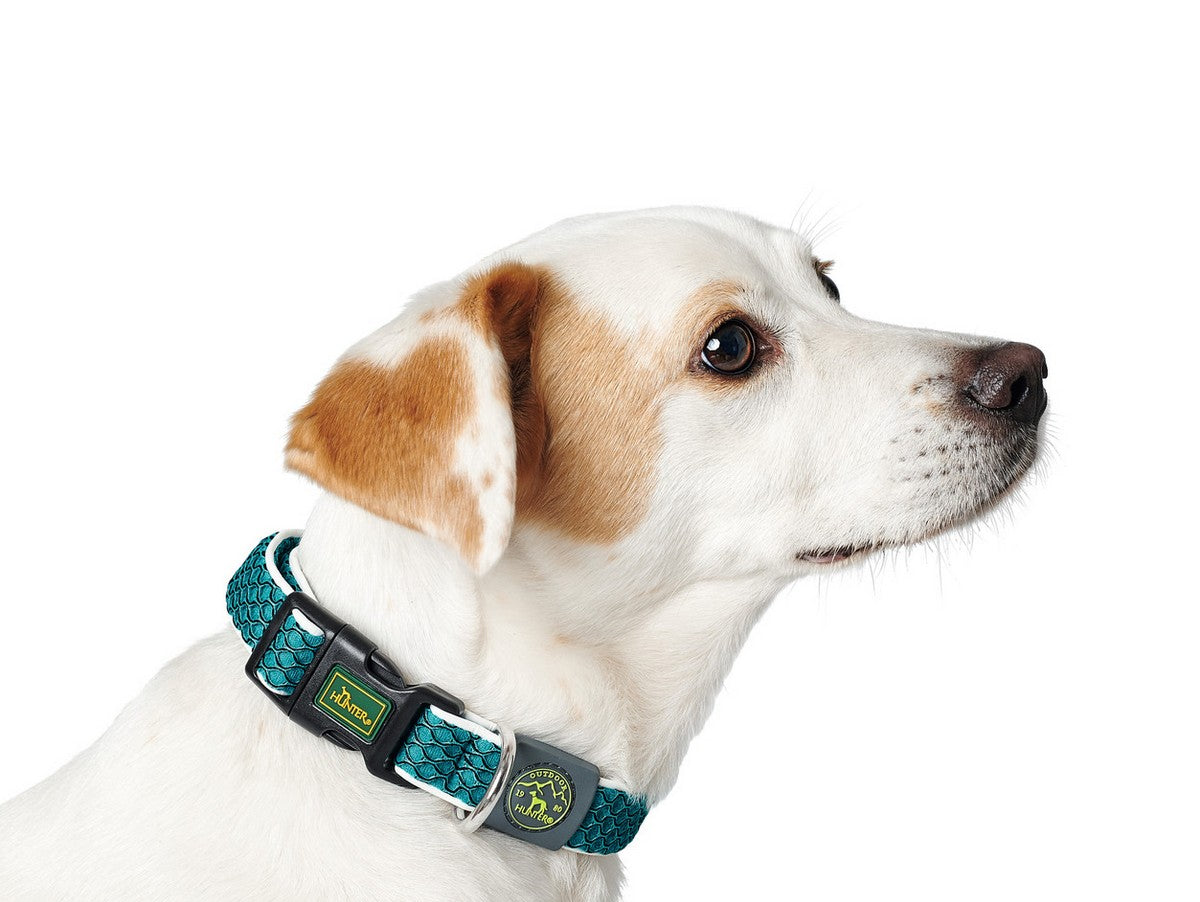 V9HF88477220011FF7F198610FBF2E75DACR1561355P2