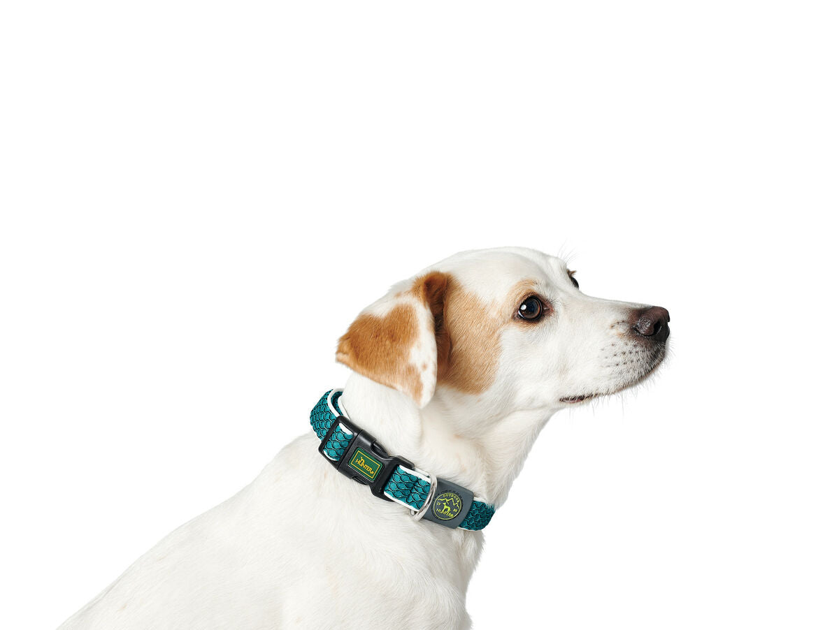 V8H0BE9A43A20EA718857487B2973303045R3710157P3