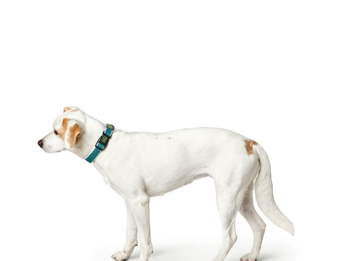 V8H32759BE5F12103C8A7E9C7921100D382R3710156P2