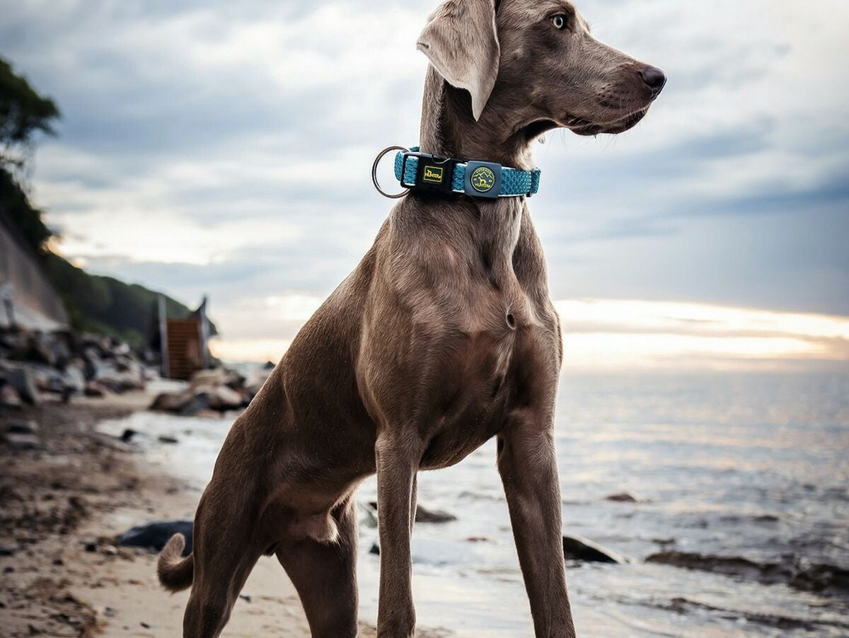 V12H8D0B8B8208124BB29444F9452179FBBFR5162307P2