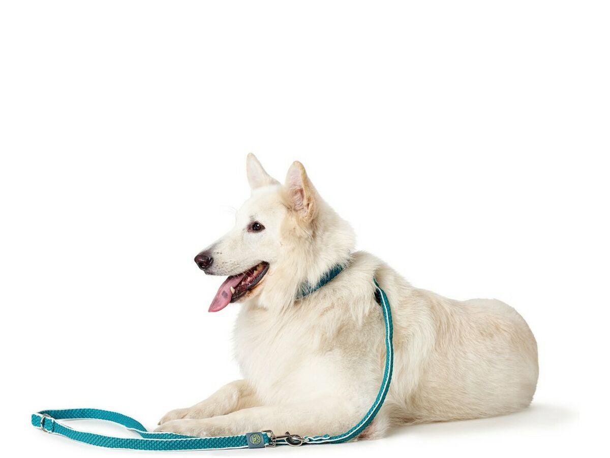 V12H91C57906267D5AFEC328AE7B03827280R3618366P3