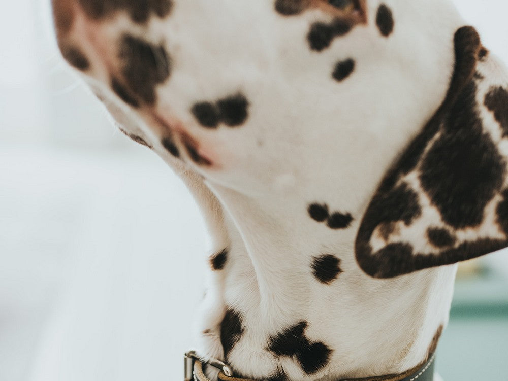 V10H039941254992AEEB3DD28AFC215D2B2BR1494020P3