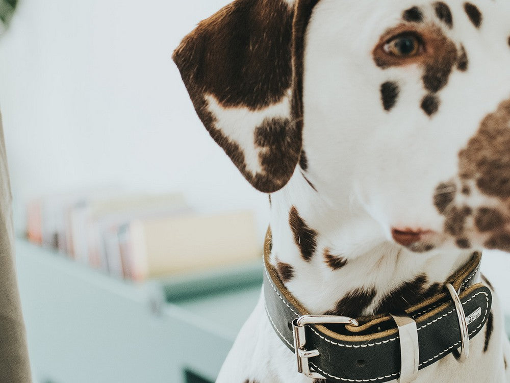 V10HBB45CBB9BF0E2D1E2FF769BD8584574AR1494021P2