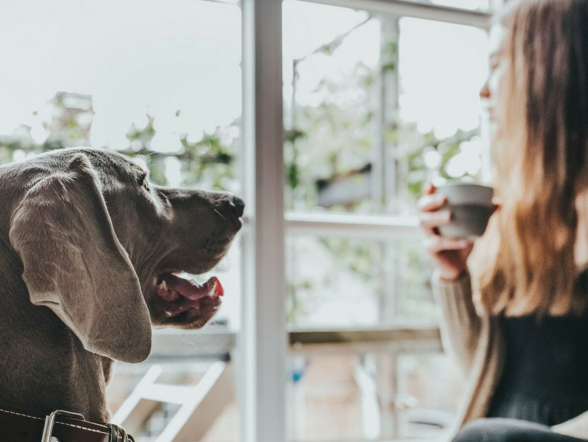 V10HE7C6F66BC7D6B1DD36E607C363D93C4FR2306675P2