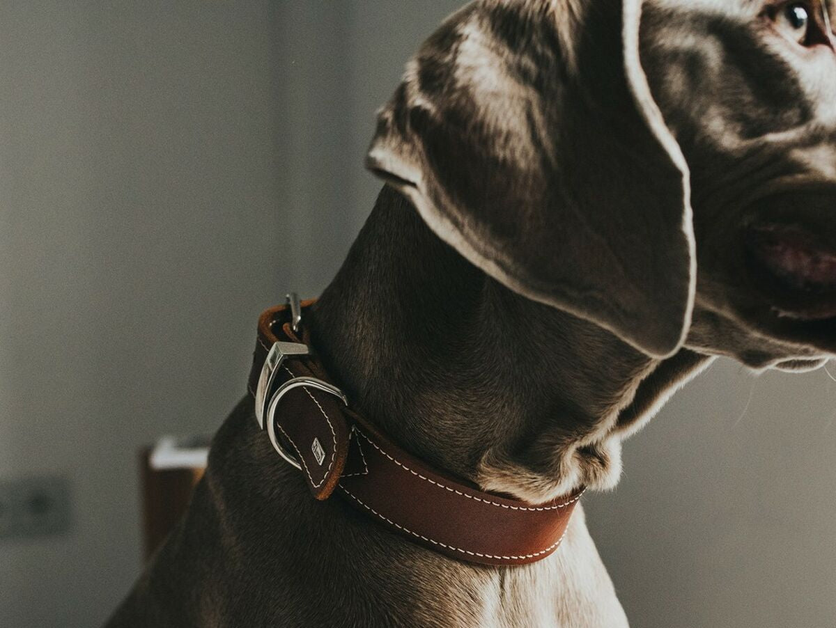 V10HDE329FB5229934F7D947AB96FEBAE71ER2306681P4