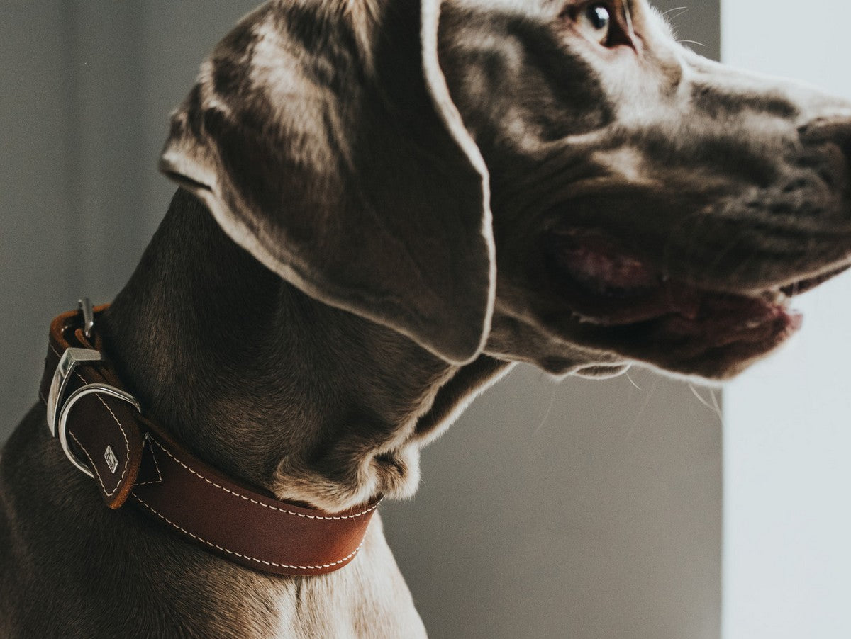 V11H1A99F58BB695784E900E7DF627967594R5452433P2