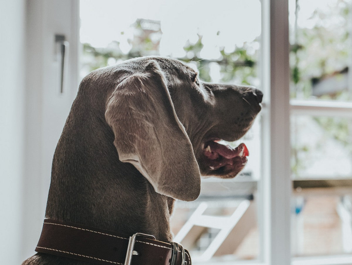 V11HBE6484E165E2F37CD2CDB1A96D75F560R5452434P3