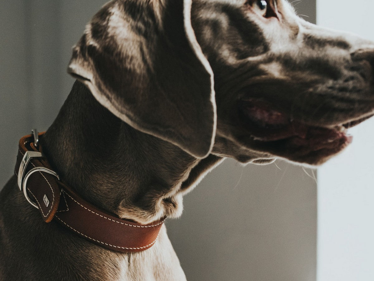 V10HBCF7A30E327A3C105DD2C2CBBDF6DAD6R1561425P4