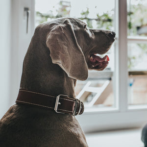 V8H24F628AE1CC76376A9D53A9F92048E2DR1561426P3