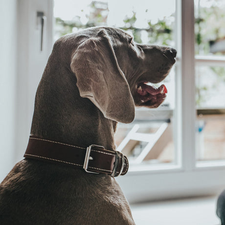 V8H24F628AE1CC76376A9D53A9F92048E2DR1561426P3