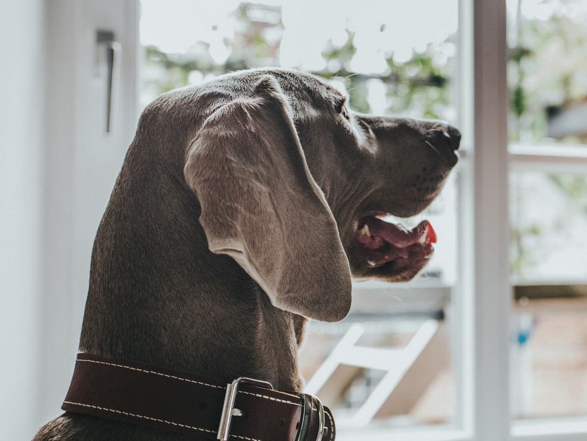 V10H24F628AE1CC76376A9D53A9F92048E2DR1561426P3