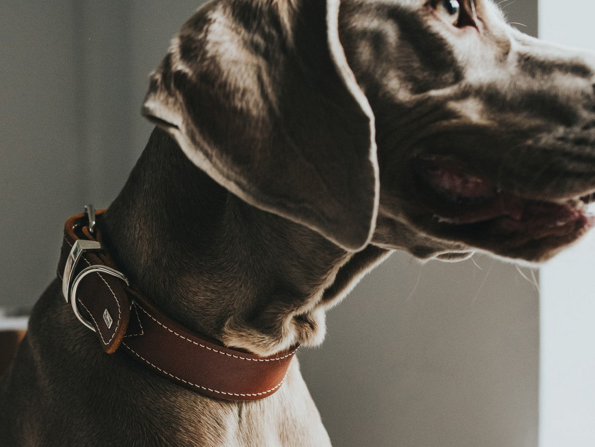 V11H72CF6B5E5B90C5FA90E0E37CD8C9BD78R4073346P3