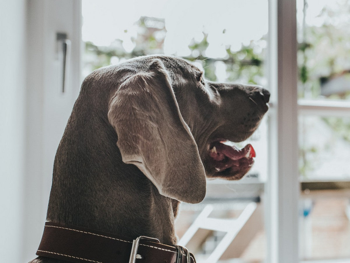 V11HB567CAFA0A79B60D69D5542A34F5AE32R4073347P2