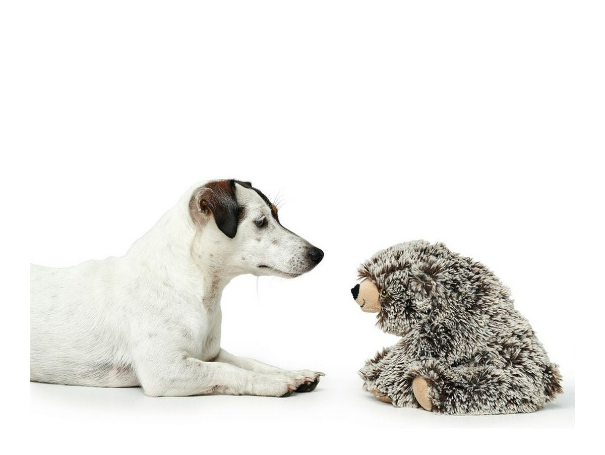 V12H7A21FD161A63C2E2307922AE71C4D879R5326250P2