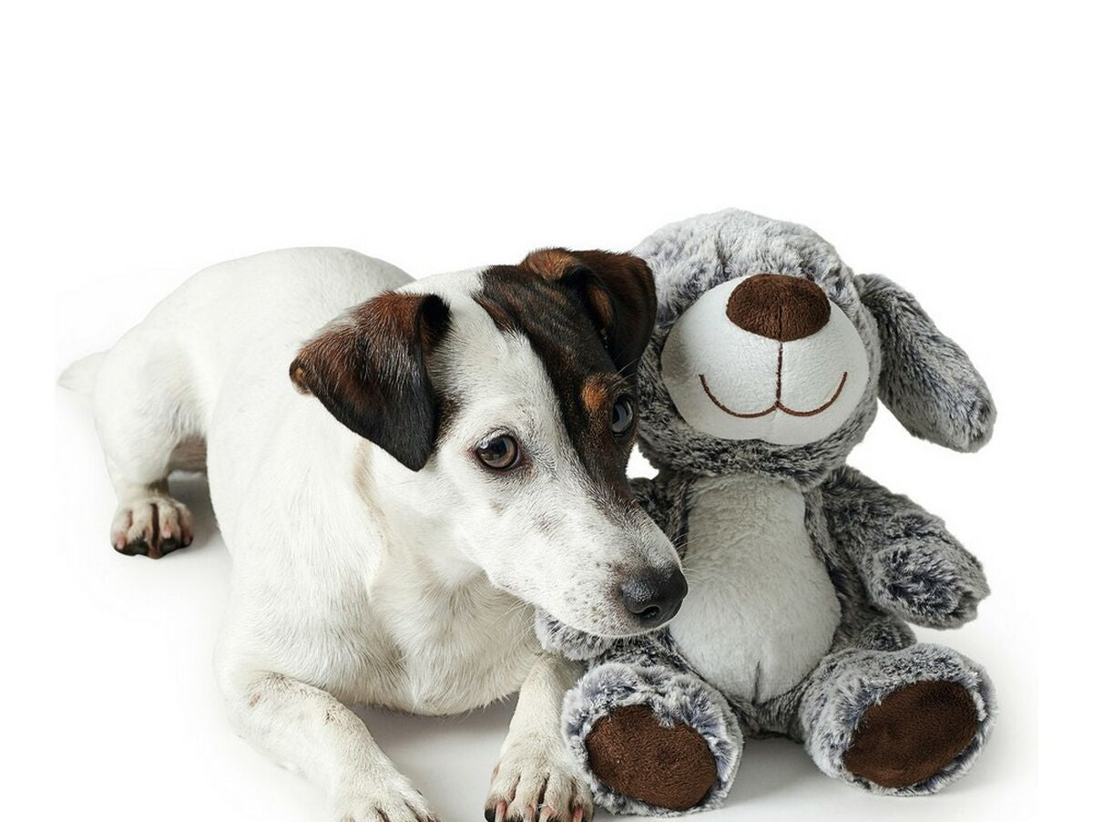 V12H8BB69AD5EC676EE28570D2AD95562623R5568107P1