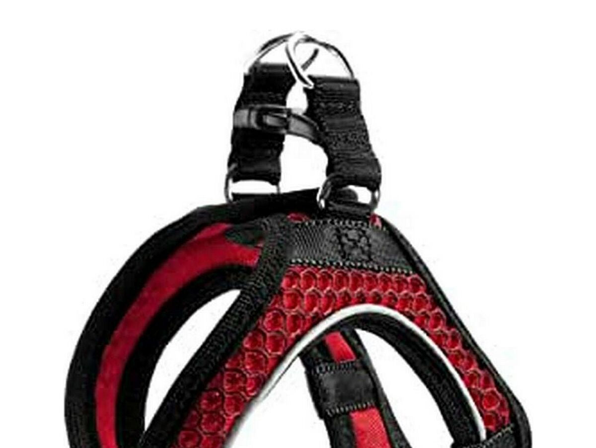 V10H663A90C2D931DDD769100AC3824FBA97R4073368P1