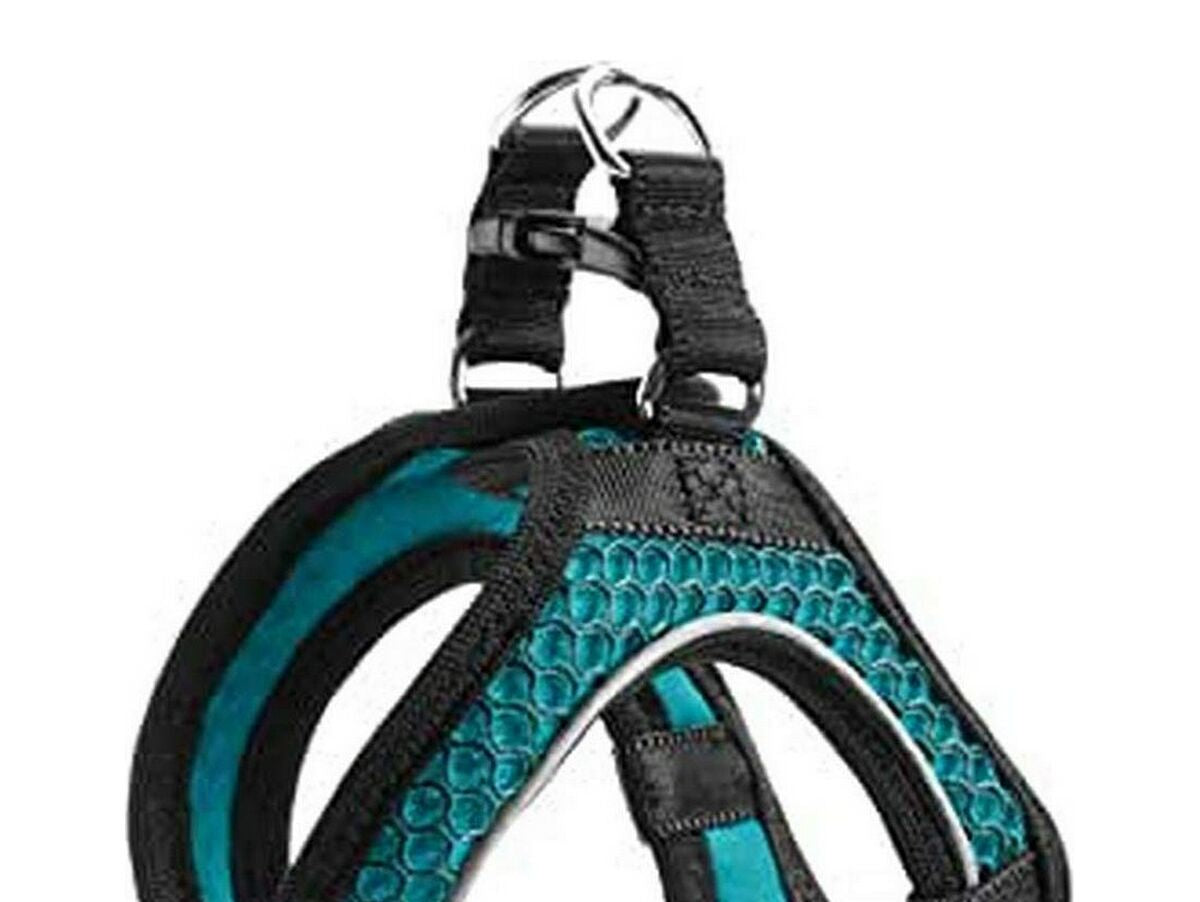 V10HA54235DA292C2918F7367EC143CFE120R5597916P1