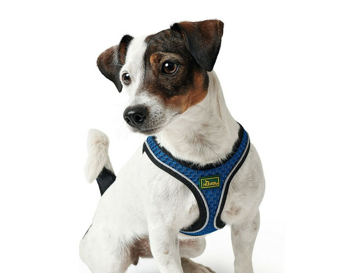 V10H037D2D0449D1F4D2D0BA717CB2970D59R5452441P2