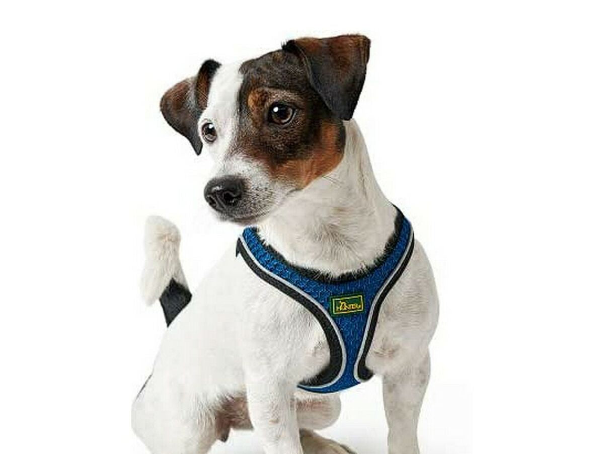 V10H513324A1F966E72A3E42D98BF17E154DR4073383P2