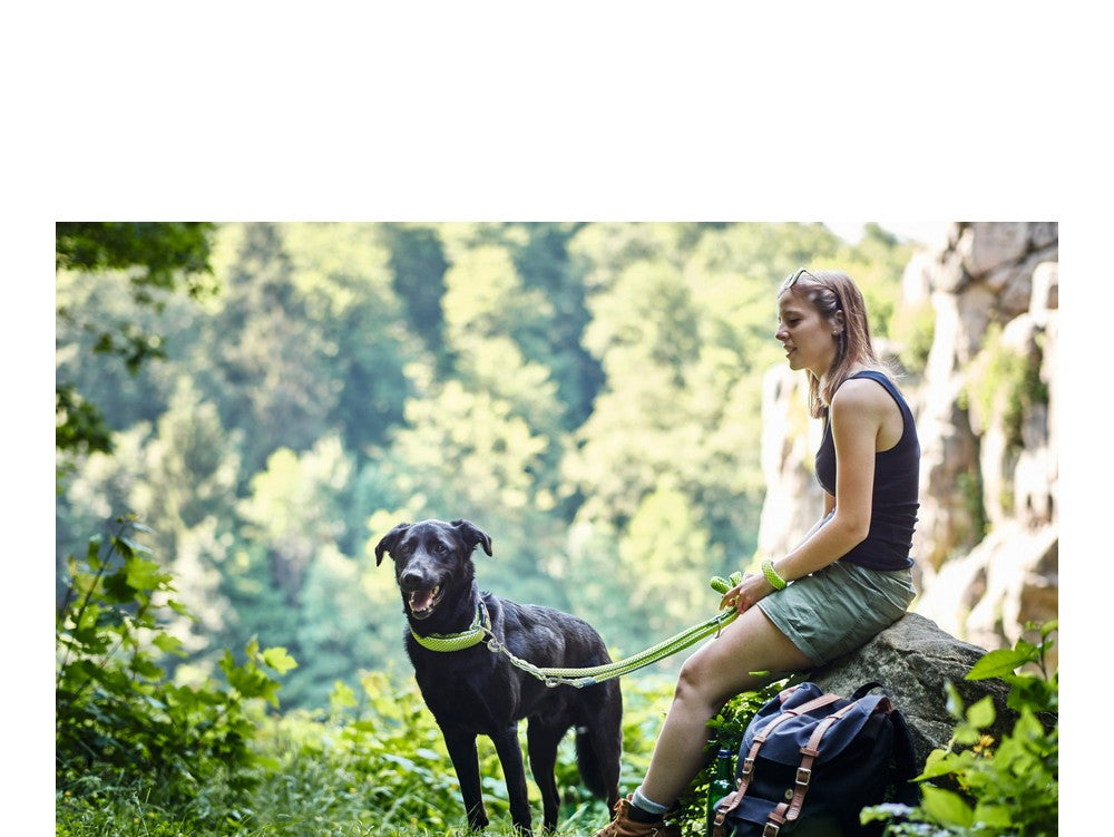 V10H00AB8A2BDFD477D71F34CC540861C115R1465126P2