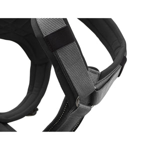 V5HCF6EB34B8F5AD96354FDB65429BE7728R4217993P2