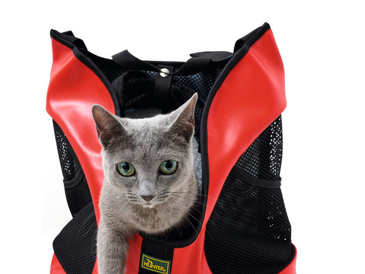 V10HAC9FB89192EADA3955DE035EE6C57C07R4951798P2