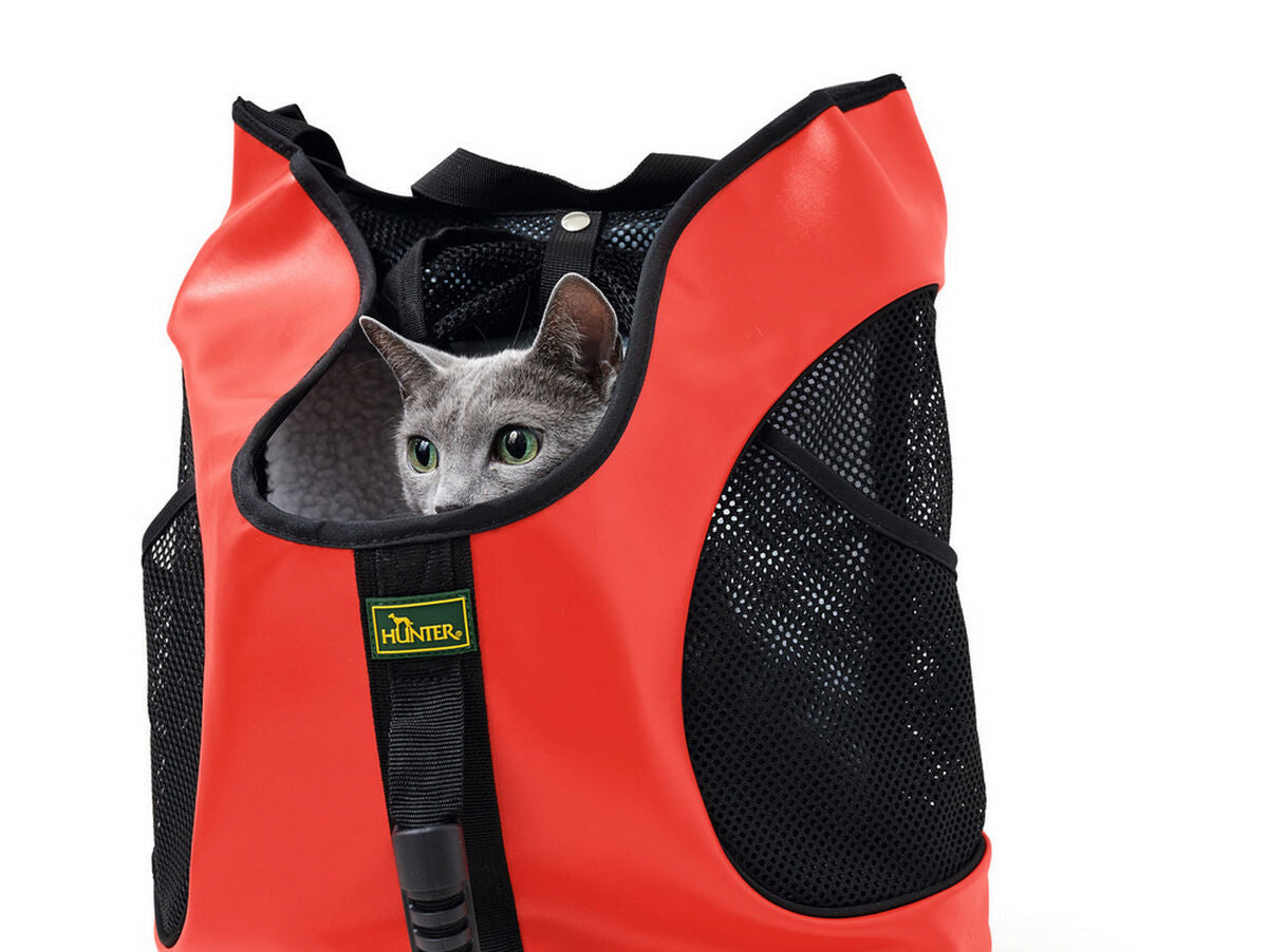 V10H4B7FA1E610E9ED9BBC78B805BBDCF64FR4951801P5