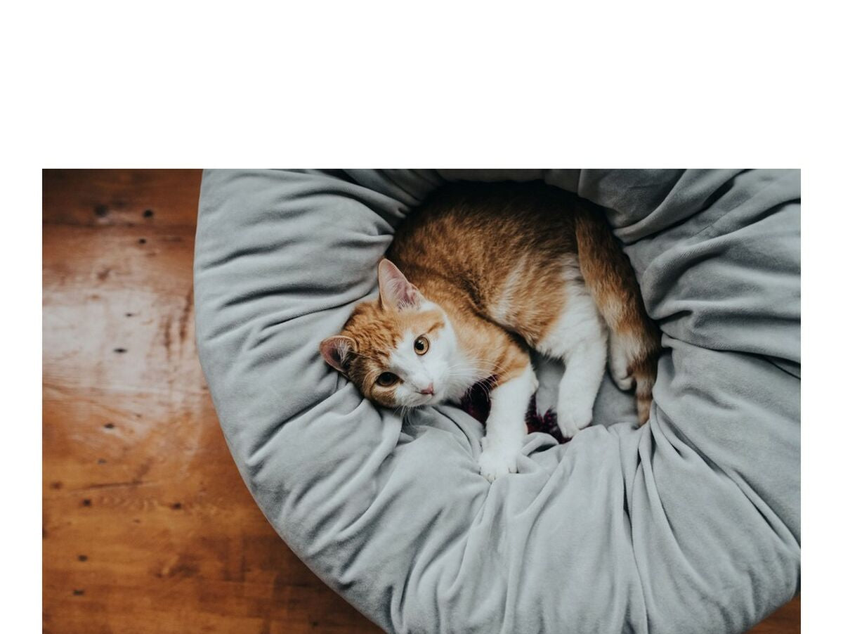 V12H4C3966BFD2B73BD3AEA07F1780B8CAD2R4014229P5