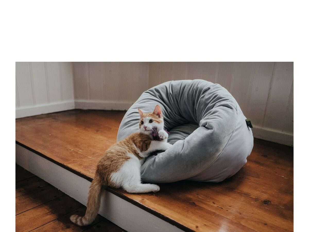 V12HA22068BDFE8861622E2061B4B5420A64R4014230P6