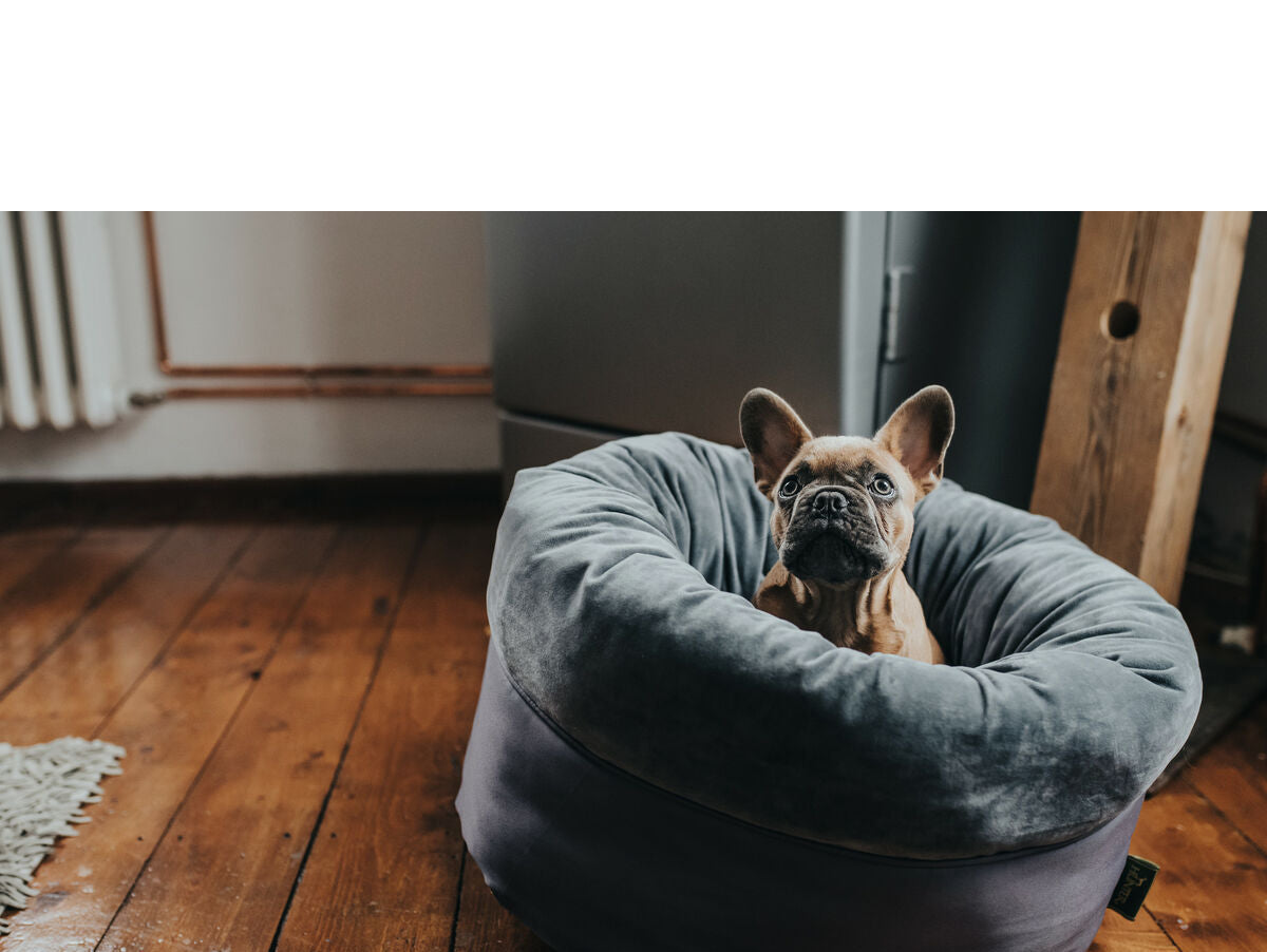 V8H3409A903D6B3431F0F231AFC7EEA1235R2928695P2