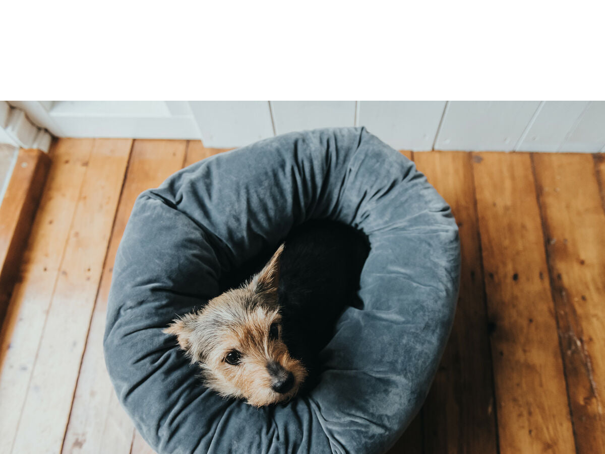 V8H765BD189249831DDDEA762AB59DE2266R2928696P3