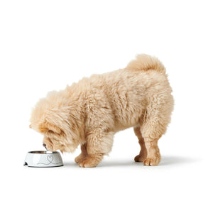 V3H7622BB8593D09397B254A597632ECED1R5574370P2