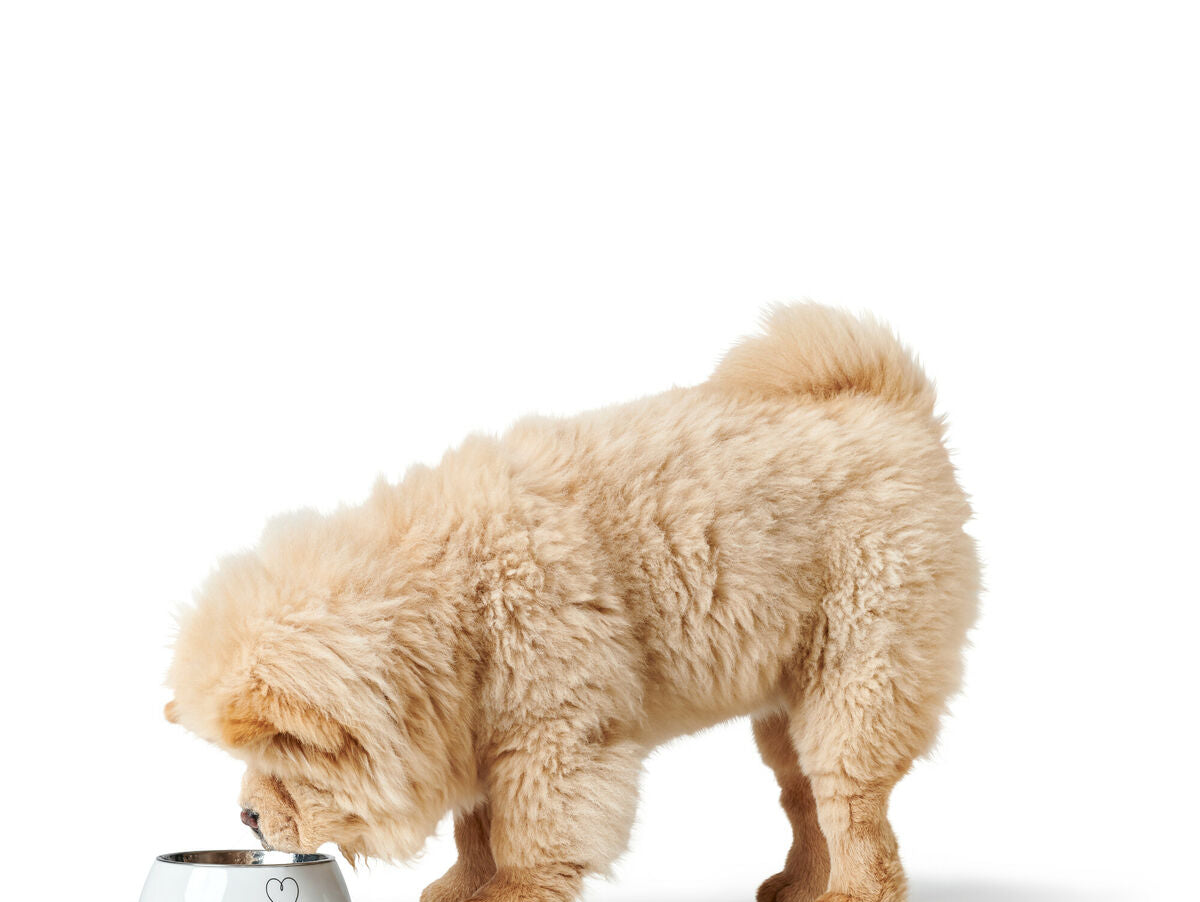 V5H68DE278E11D5F6DEA536399E08B32857R5574386P2