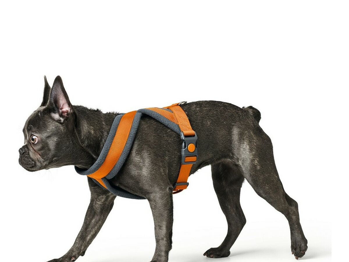 V10H2D16AC852908A556768849494EB25372R2353140P3