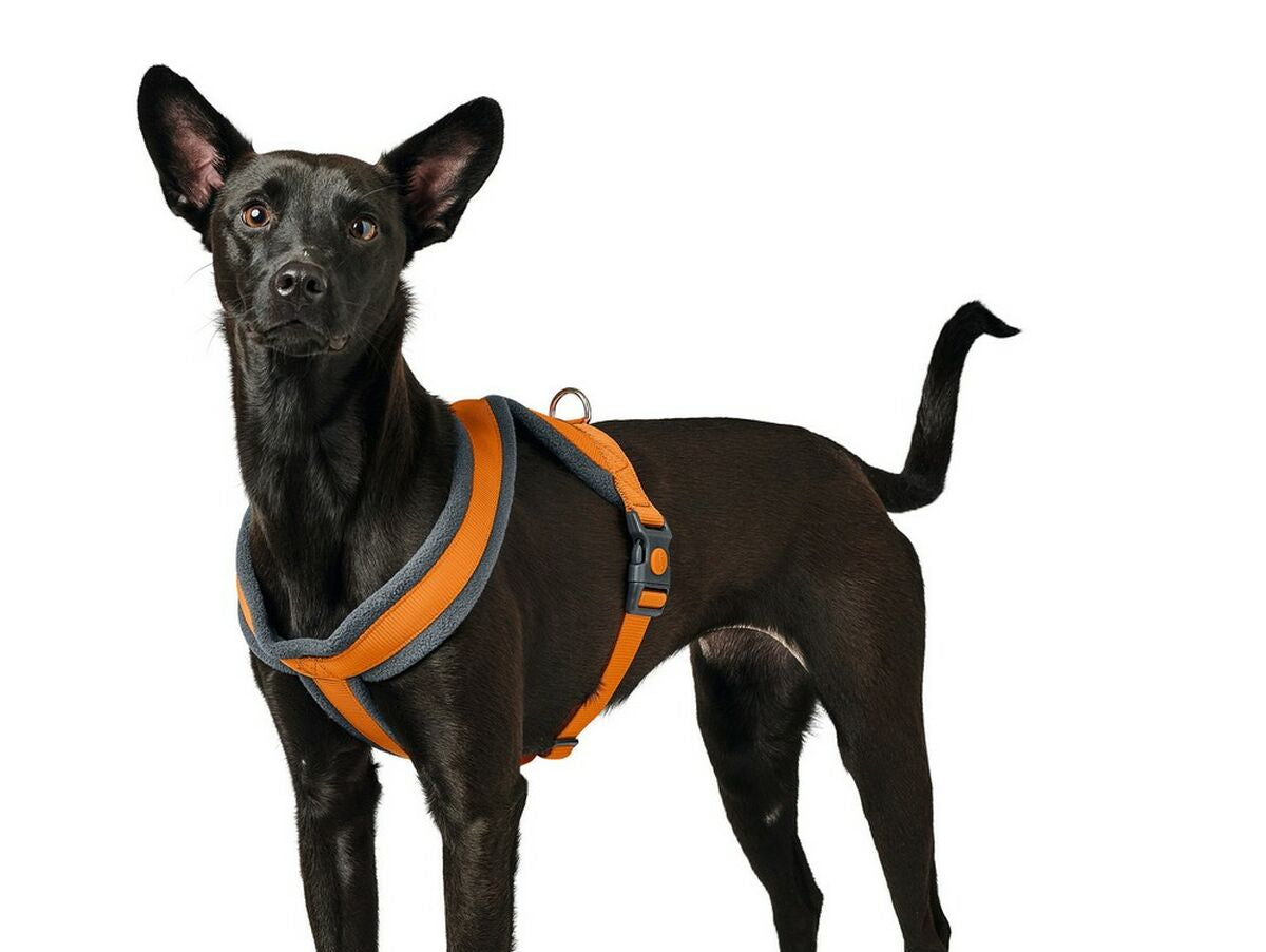 V11HC77246FA6D736BABBBFE51B76F297FAER3884091P2