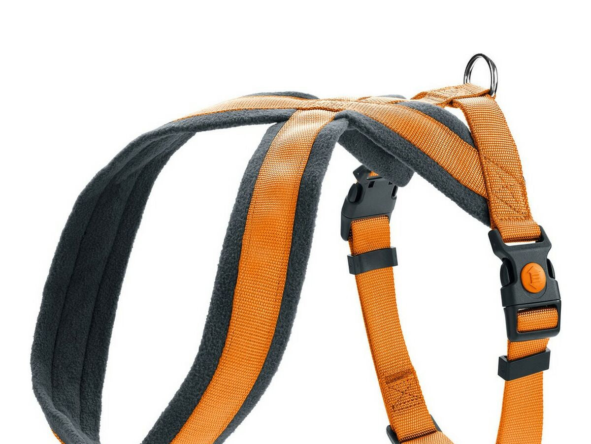 V11HD4167C59F135F04B5A5F6561B28B127DR4073330P1