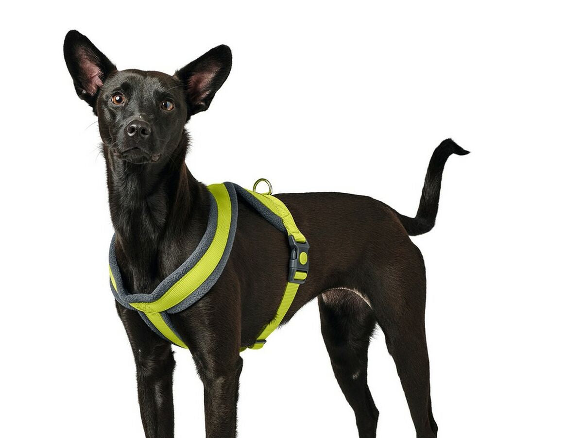 V11H87707523A65C5A718971BA586361D407R4073321P1