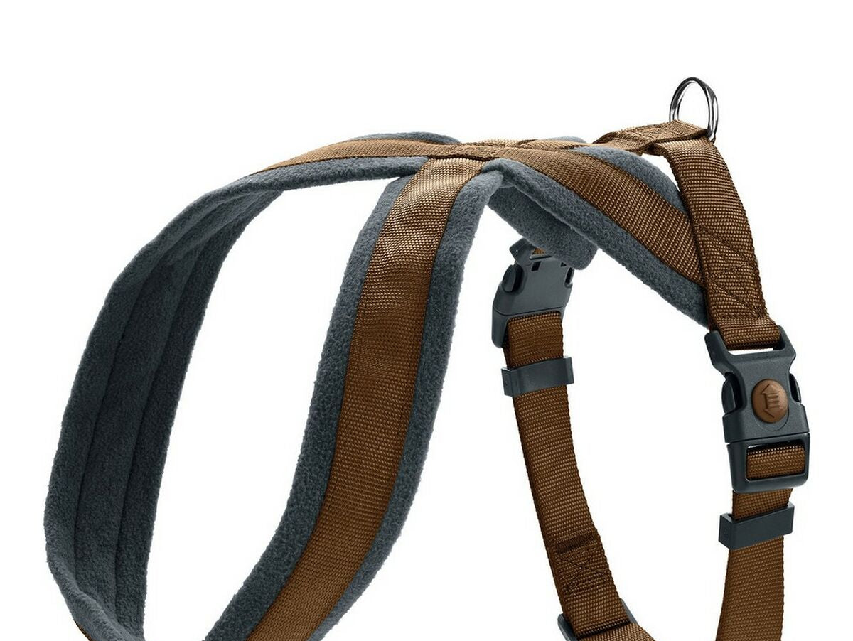 V11H8D8058205DF946A7D4C339A3301DDBA8R3569167P2